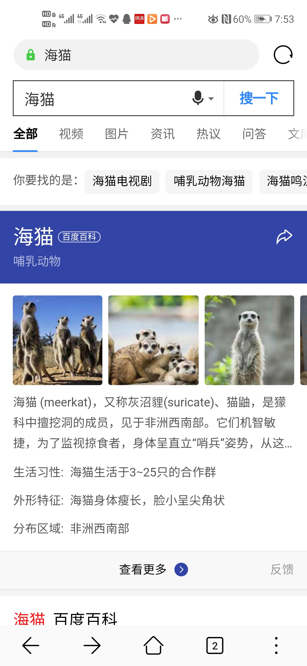 你们知道海猫是什么么nga玩家社区