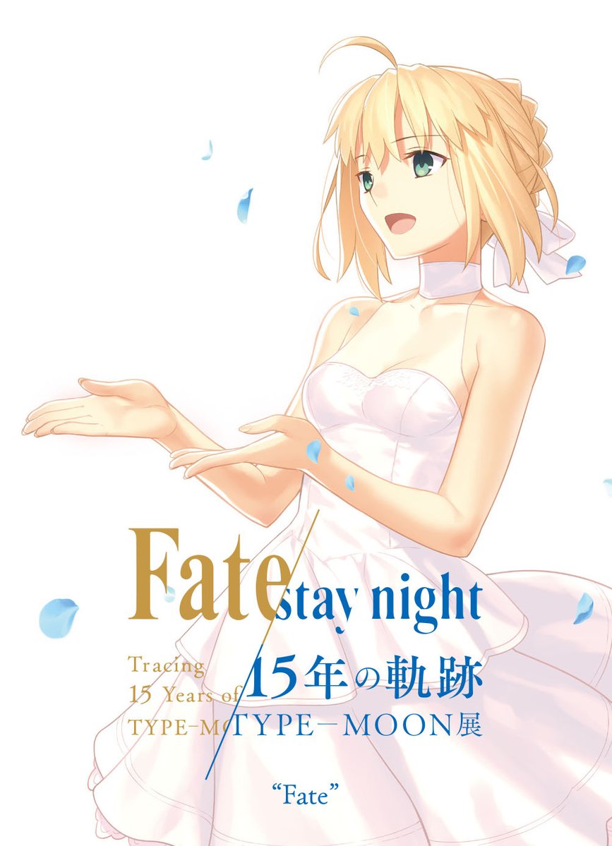 Type Moon展fate Stay Night 15年の軌跡 付實況拍攝 Nga玩家社区