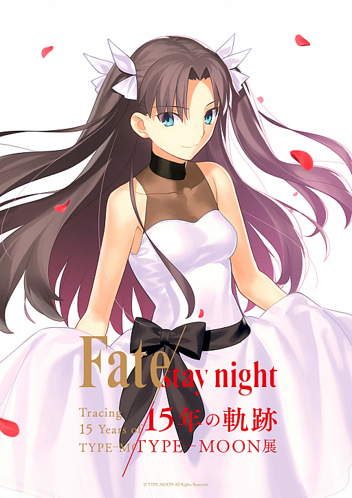 Type Moon展fate Stay Night 15年の軌跡 付實況拍攝 Nga玩家社区