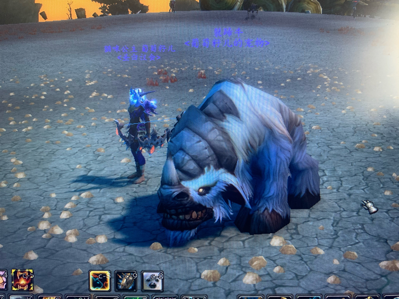 请问各位老猎人，这个裂蹄牛哪里抓