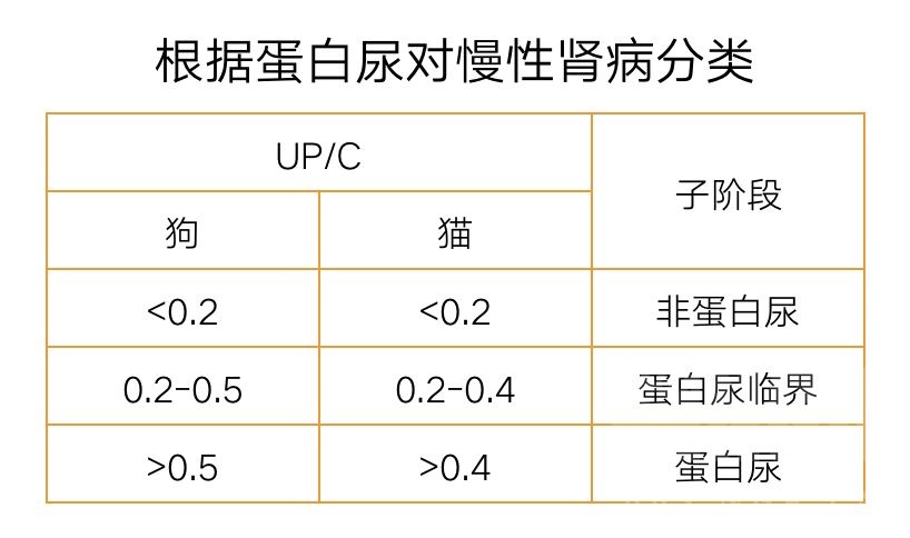 科普知识]MYAO猫病特辑 慢性肾病NGA玩家社区