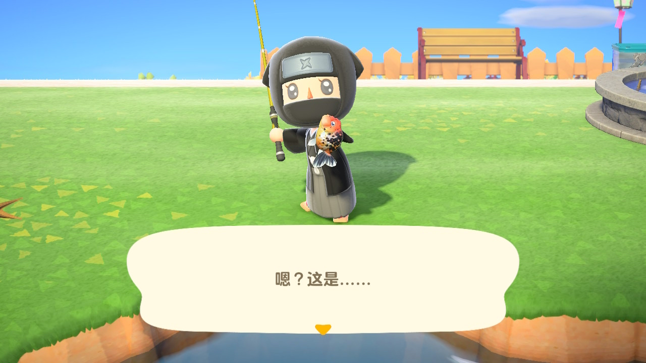 侠客提醒 兰寿金鱼是小鱼影 不是特小 Nga玩家社区