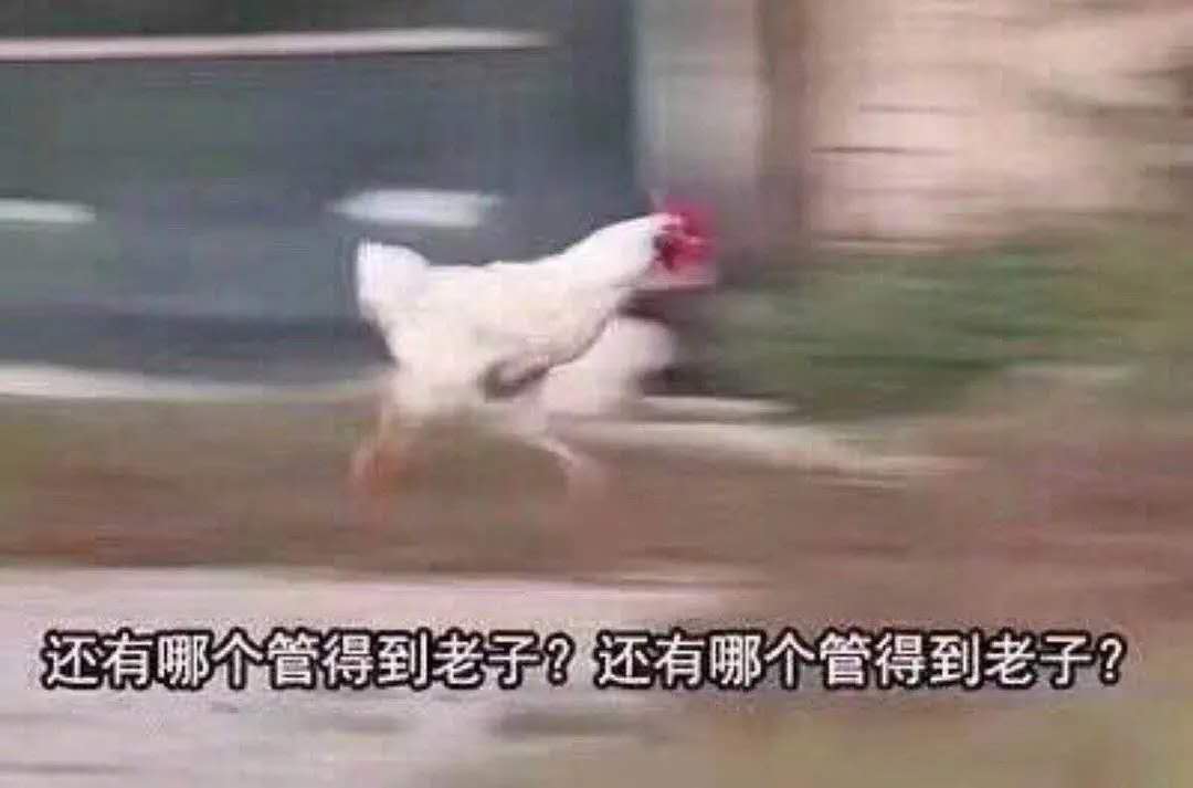 外服氵 烤肉氵 韩服 沃伦姆德的黄昏 相关 10 25 直播相关 10月31日更新隔壁真的太强了 再更一小波 Nga玩家社区