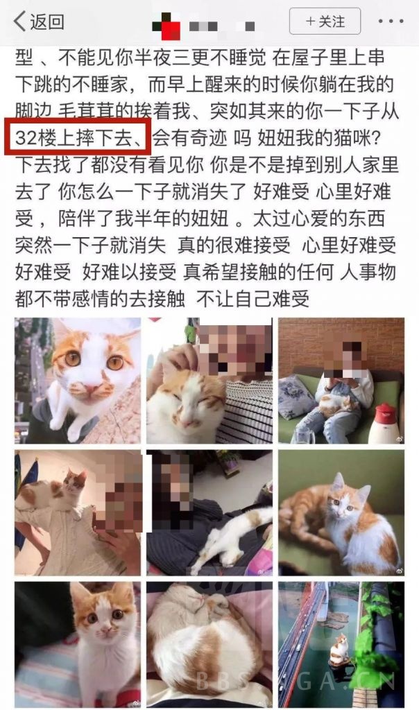 科普知识 Myao养猫劝退指南 今日不封窗 他日泪汪汪nga玩家社区