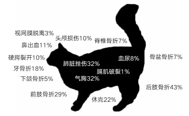 科普知识 Myao养猫劝退指南 今日不封窗 他日泪汪汪nga玩家社区