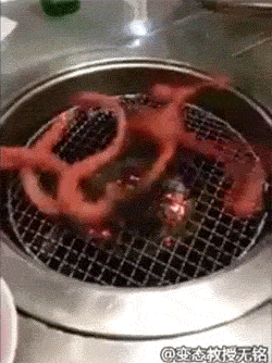 大家最想吃的黑暗料理是什么 Nga玩家社区