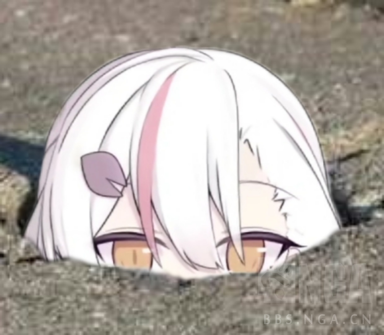 21号19点联动tricky Tower 立花遥 三语智商型vup 社团chobits Live的新人立花遥b站直播中nga玩家社区