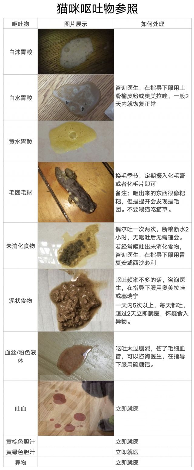 科普知识 Myao养猫入门 养猫家庭呕吐 拉稀 应激常备药物和用品指南nga玩家社区