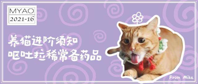 科普知识]MYAO养猫入门 养猫家庭呕吐、拉稀、应激常备药物和用品指南 