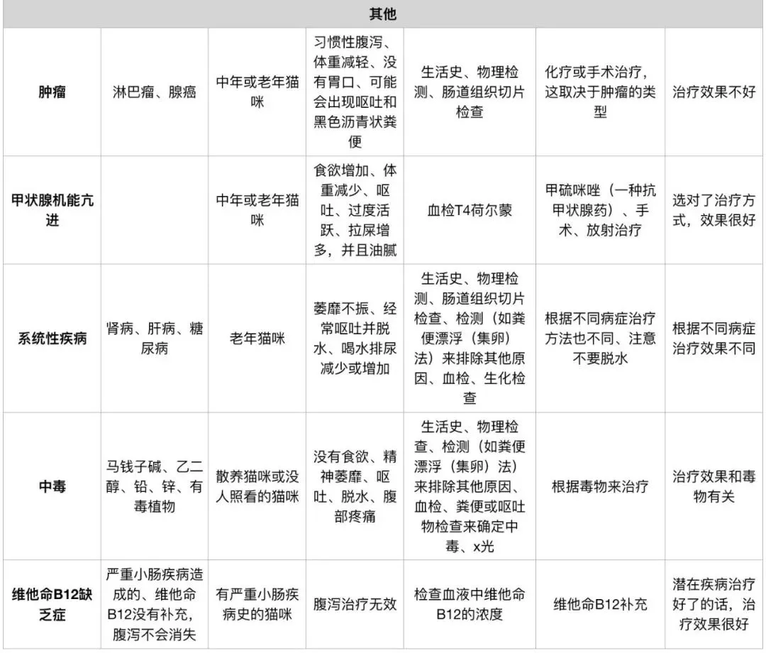 科普知识]MYAO养猫入门 养猫家庭呕吐、拉稀、应激常备药物和用品指南 