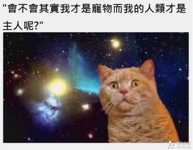 提问 这一系列的表情包是什么梗啊nga玩家社区