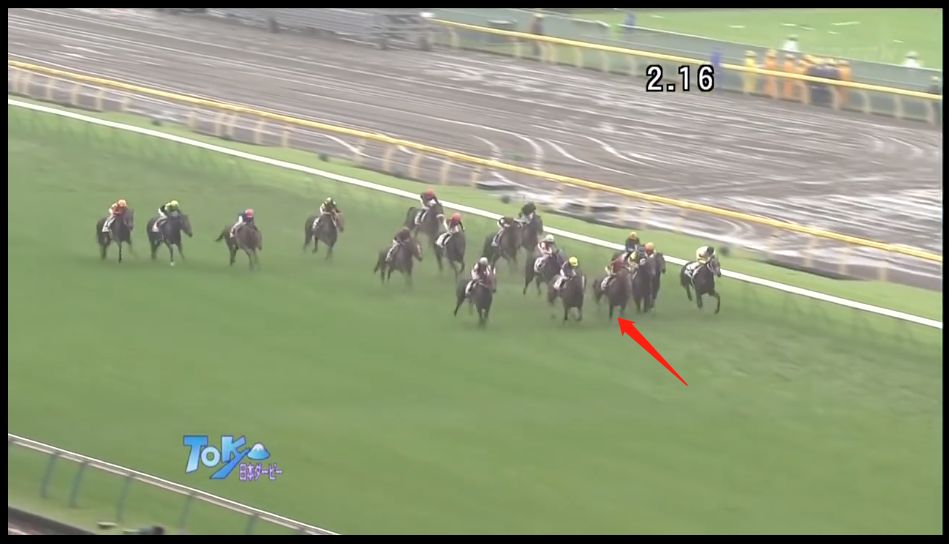 同人相关 名马传 黄金家的优秀代表 金色的暴君 黄金巨匠 长文预警 施工完毕 Nga玩家社区