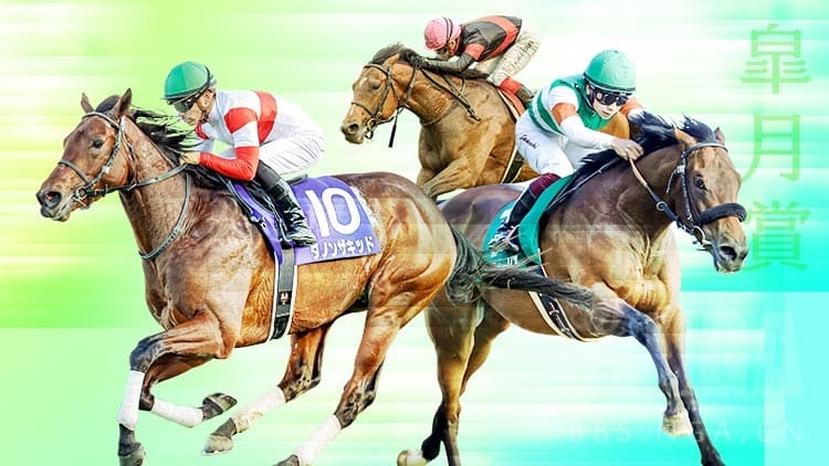 赛事讨论 闲聊杂谈 4月18日中山競馬場11r G1皐月賞nga玩家社区