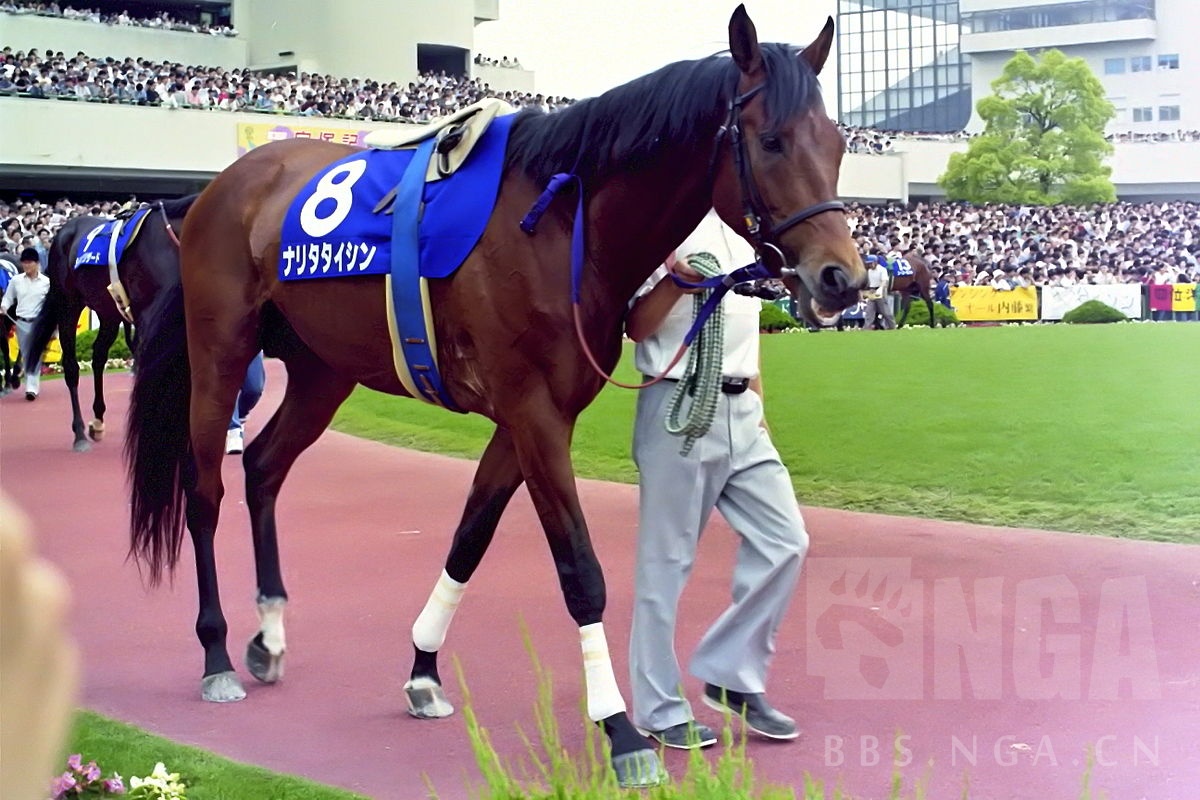 闲聊杂谈 暂时完工 华灯黯然 简单盘点名马们的最后一战 3l更新黄金船 Nga玩家社区