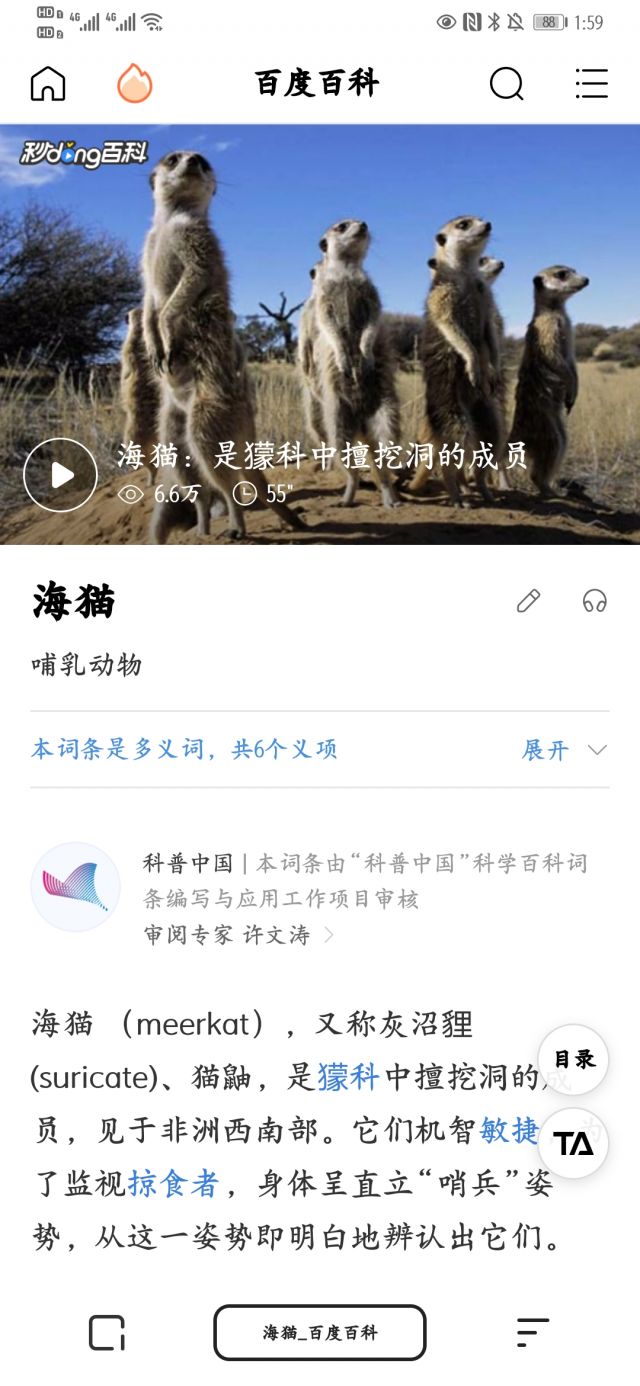 受海猫第一集的影响 一直以为海猫是海边的动物nga玩家社区 受海猫第一集的影响 一直以为海猫是海边的动物nga玩家社区