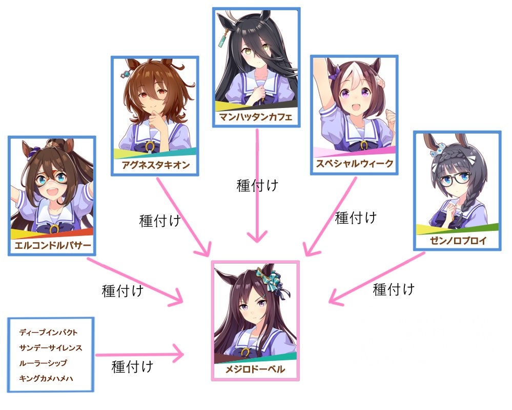 现实考证 杂谈 牝马战线的王者 祝目白多伯生日快乐nga玩家社区