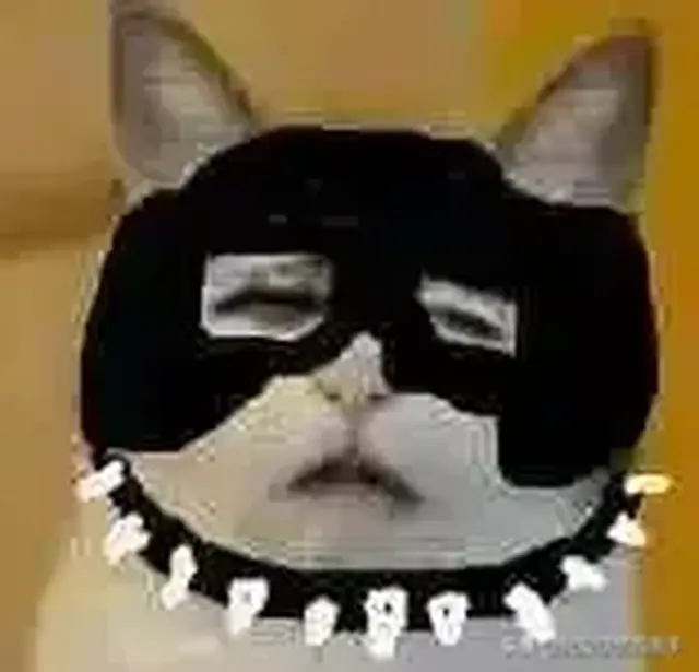 元素萨到底用单手武器好还是双手武器好nga玩家社区