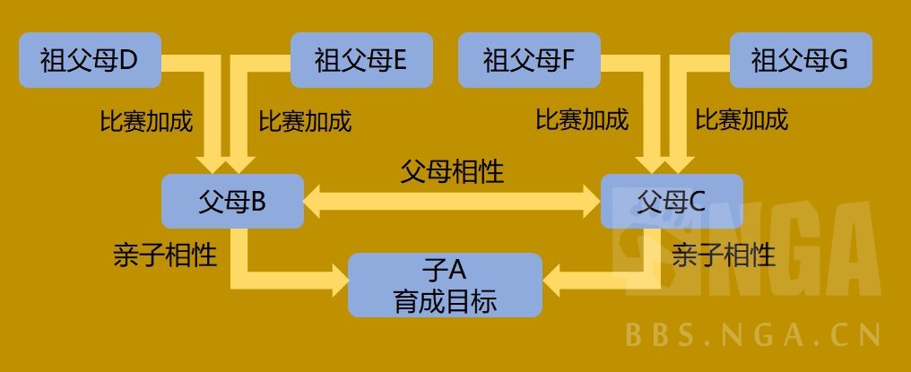 育马心得 从入门到放弃无氪低练度萌新的历战种马育成指南nga玩家社区