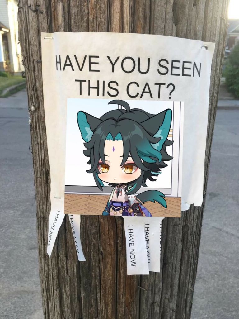 厨力放出 长期更新 魈上仙的絮叨小楼nga玩家社区