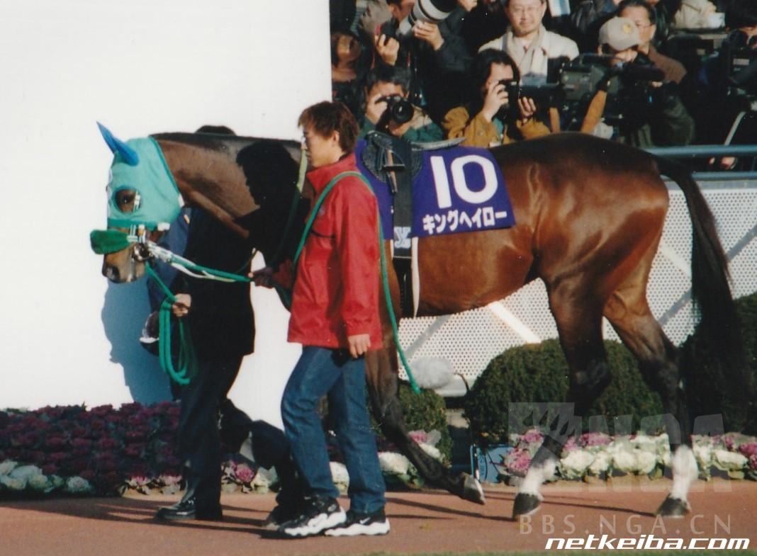 闲聊杂谈 暂时完工 华灯黯然 简单盘点名马们的最后一战 3l更新黄金船 Nga玩家社区