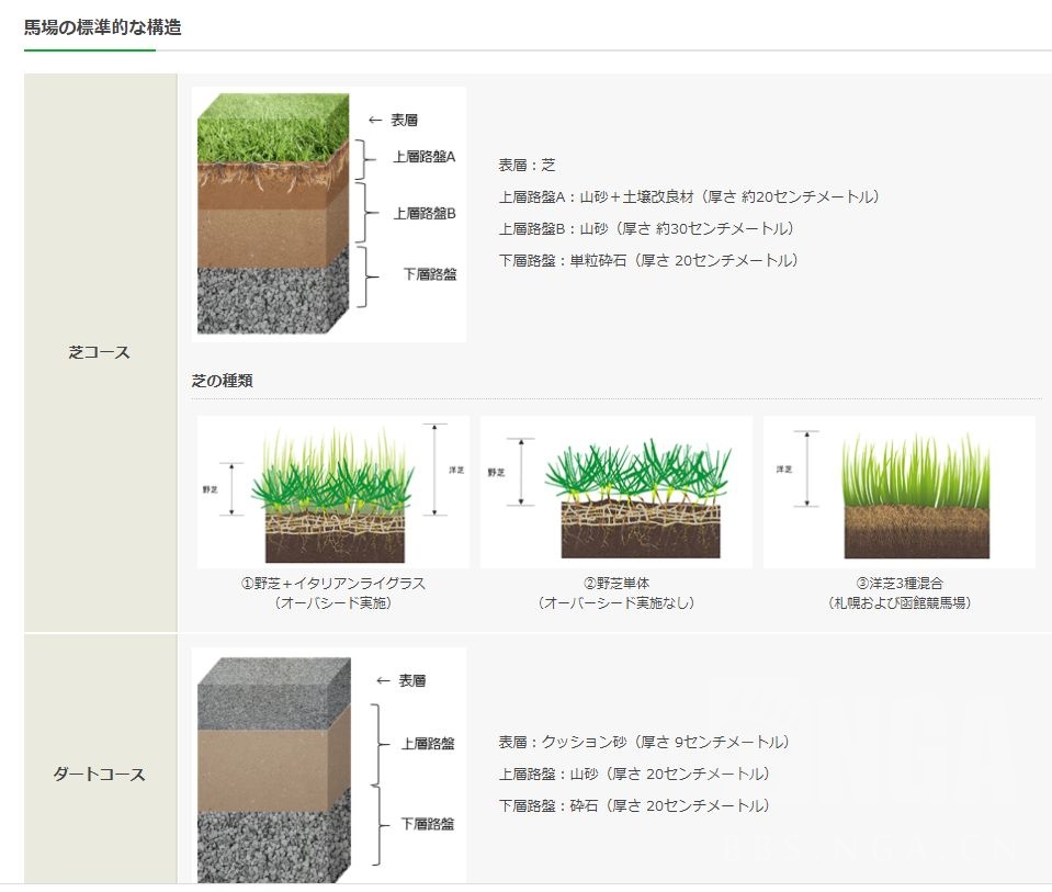 闲聊杂谈 为什么老说日本竞马场是水泥地铺草呢nga玩家社区