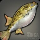 烟波钓徒][补图鉴][钓鱼攻略]CD白鱼u2014u2014图鉴路艰难崎岖之道！全CD白鱼 