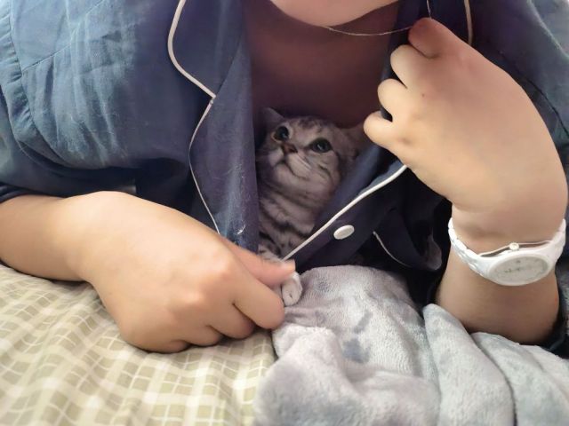 想让这楼成为晒猫大楼nga玩家社区