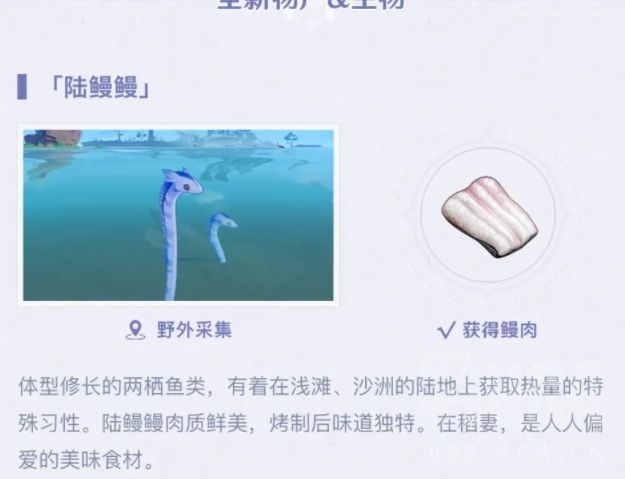 闲聊杂谈 珊瑚 花园鳗 你还说你不是陆珊瑚台地 笑 Nga玩家社区