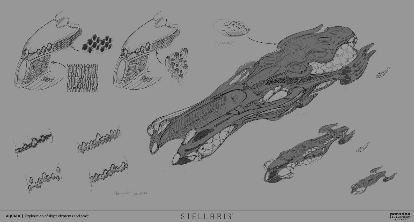 翻译 牧游社 Stellaris开发日志 230 10 28 水生生物舰船和巨龙nga玩家社区
