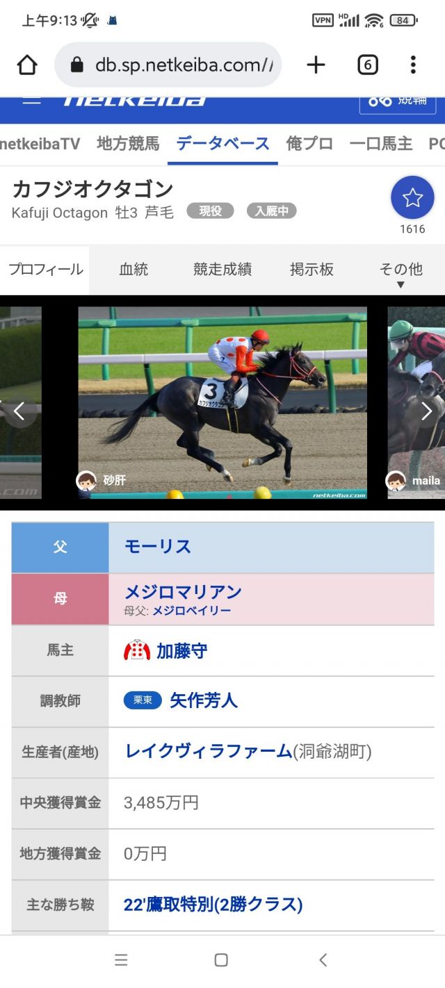 [现实考证]目白光明半弟，目白家最后的g1马目白贝利去世 NGA玩家社区