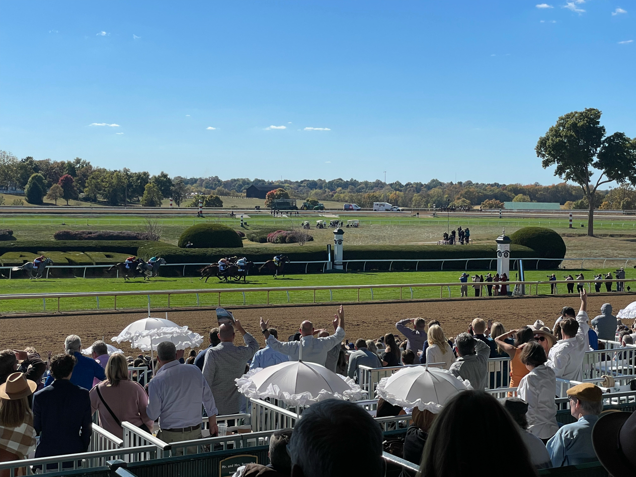 现实考证 Keeneland秋季开幕周 22年10月前半海外主要平地赛事 10月第2周英国 美国 澳大利亚 加拿大 178