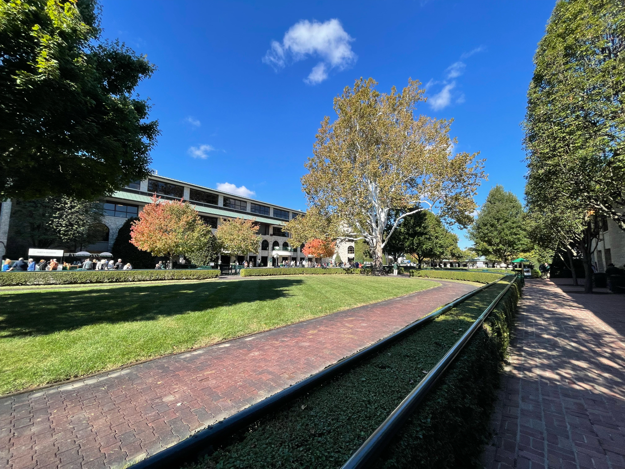 现实考证 Keeneland秋季开幕周 22年10月前半海外主要平地赛事 10月第2周英国 美国 澳大利亚 加拿大 178