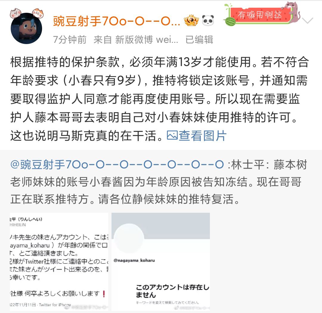 藤本树氵]小春妹妹账号惨遭推特冻结178
