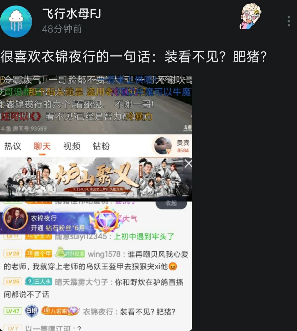 很喜欢炉石1哥点评2哥的一句话，《装看不见，肥猪？》 178