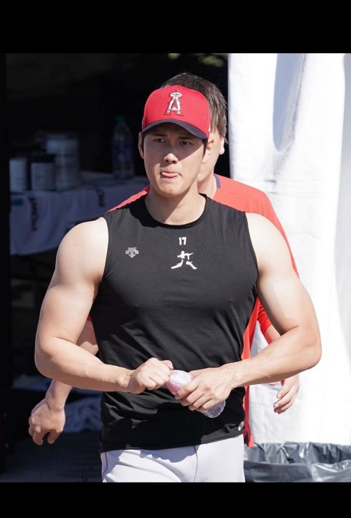 L*S様 北海道日本ハムファイターズ在籍時大谷翔平 レプリカ