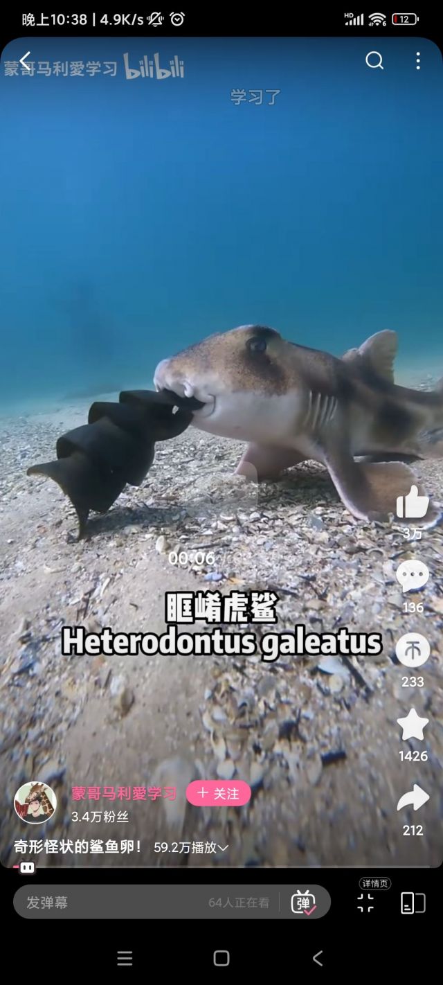 国际赛事]看到个鲨鱼种类的名字绷不住了NGA玩家社区