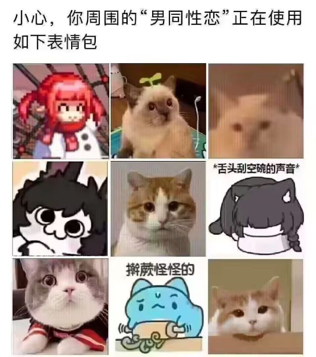 大连海产品企业外环境中检出病毒