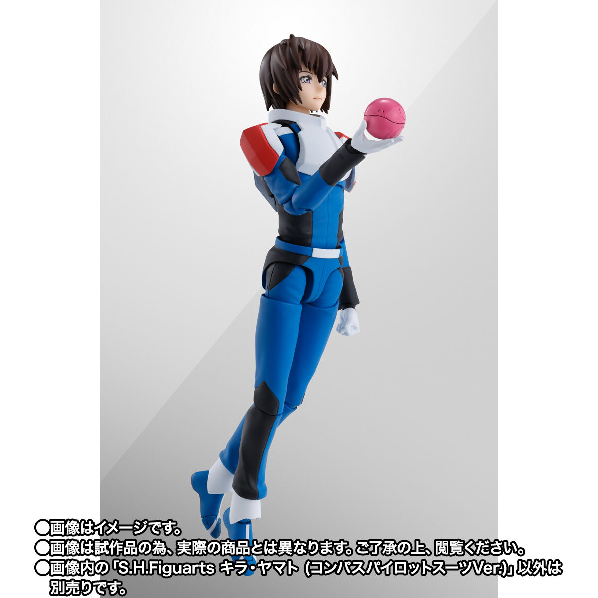 pb-s-h-figuarts-compass-ver-nga
