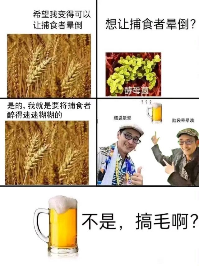 这是那原始人梗图的原图？ NGA玩家社区