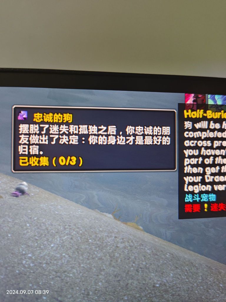 忠誠 拍賣 行 的 評論 (99) 사진