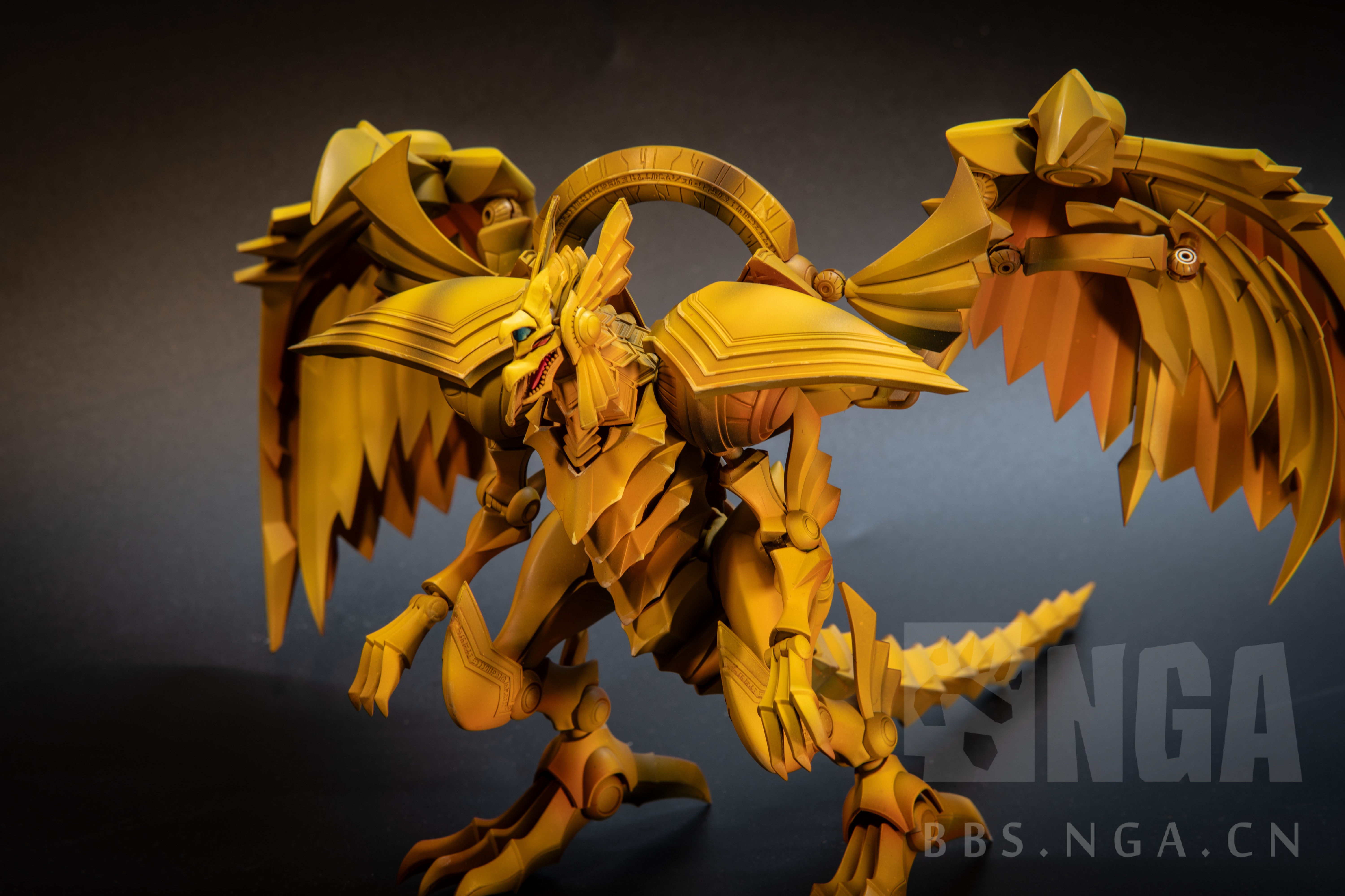 拼装] FRS太阳神之翼神龙本年度做过最大奋模型NGA玩家社区