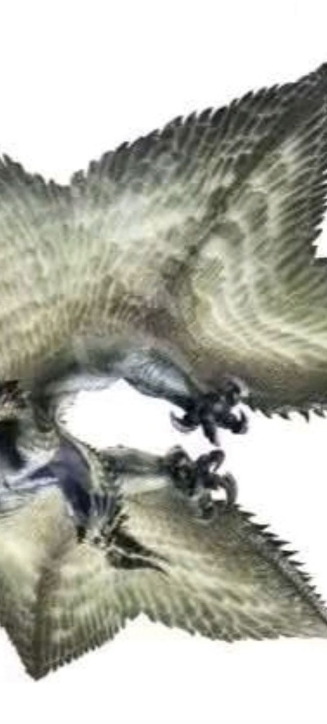 他 知道 風 從 哪個 方向 來 抄襲 (99) 사진